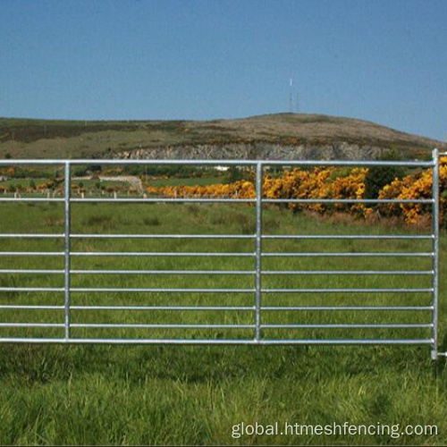 6 Rail Sheep Corral Panels Livestock Galvanized Cattle Fence Panel Factory